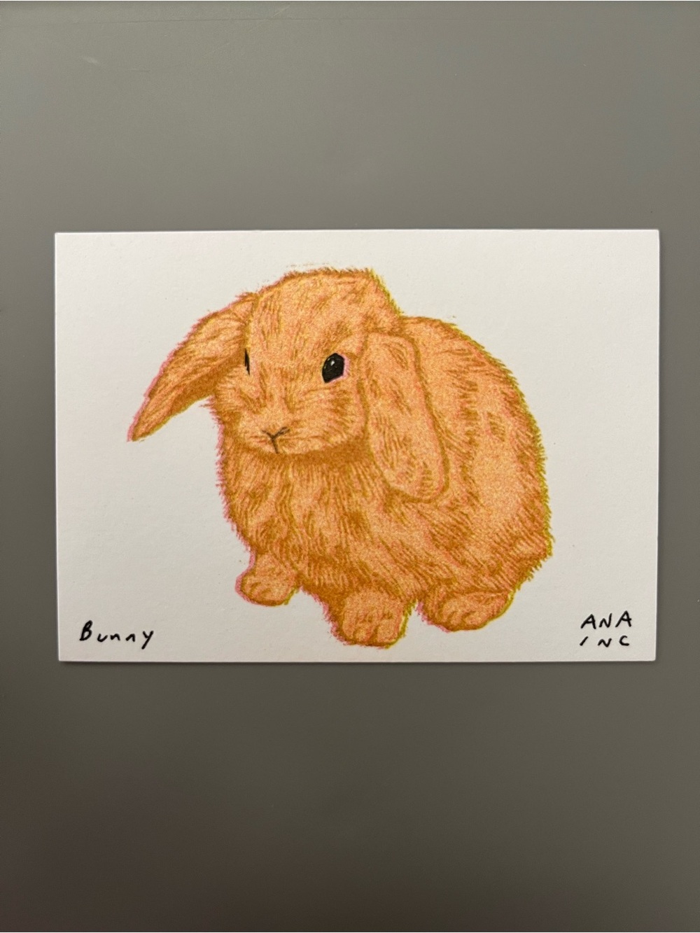 Ana Inciardi Mini Print - Bunny